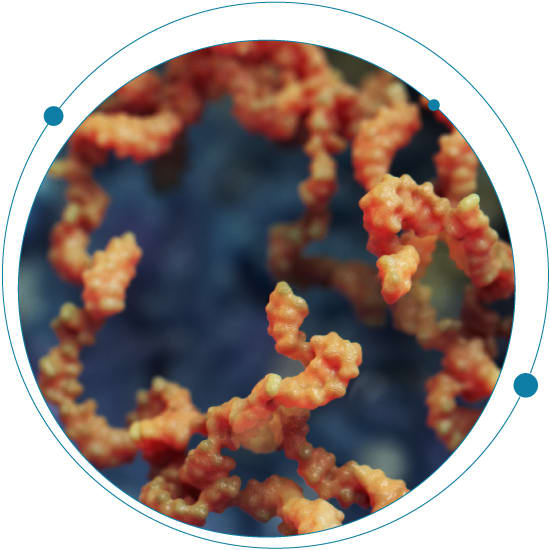 Beyond mRNA: how advances in analytical techniques are enabling a revolution in the RNA drug landscape